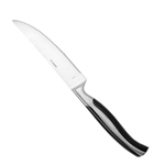 Oneida® Caspian Serrated Steak Knife, 9.25" - B907KSSKR