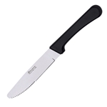 Browne® Steak Knife w/ Polypropylene Handle, 10" 574335
