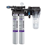 Pentair® Everpure Kleensteam II Twin Filtration System - 9797-22