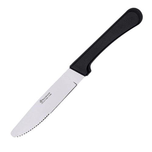 Browne® Steak Knife w/ Polypropylene Handle, 10" 574335