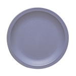 Cambro® Camwear Narrow Rim Plate, Blue, 9" - 9CWNR401
