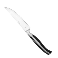 Oneida Preferred S/4 Steak Knives, 0.90 LB, Metallic